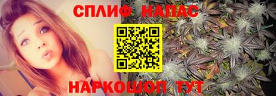 стаф Аргун