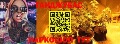 стаф Аргун