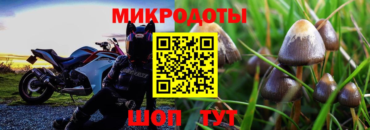 Галлюциногенные грибы ЛСД Великий Новгород